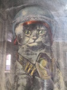 cat in a helmet