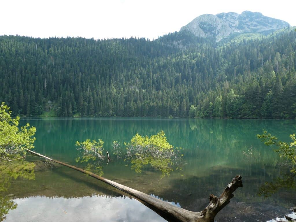 montenegro lake