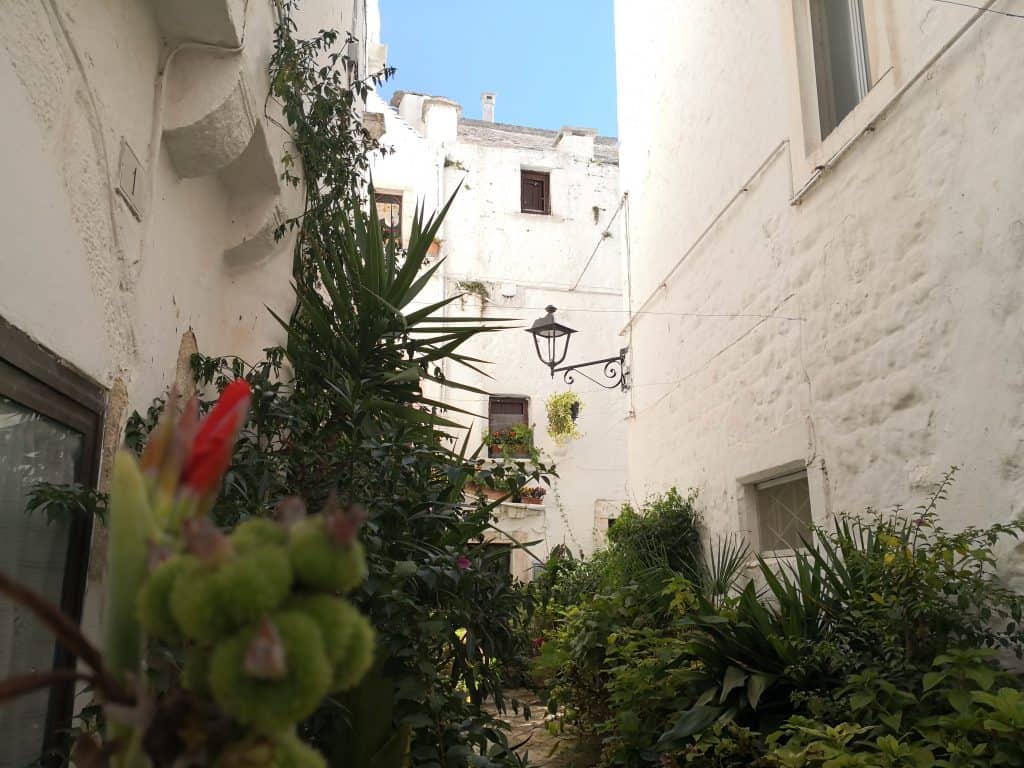 Puglia, Italy - Pasta, Pizza, Wine, Sourdough Bread & More Wine 36